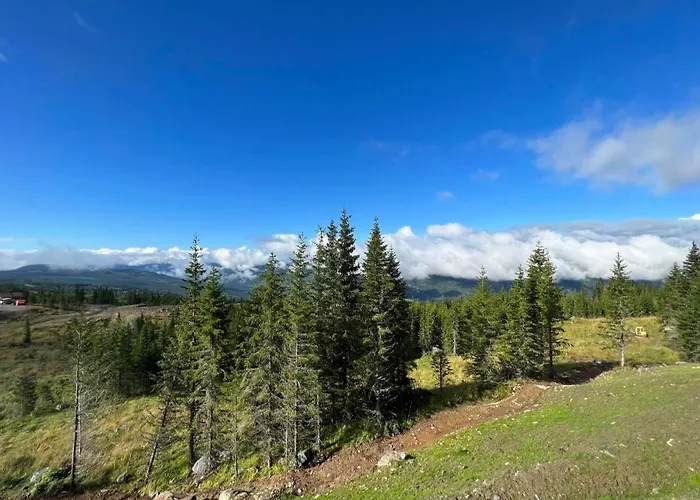 Hafjell Front 220b 8pers Inout, Downhill Bike *