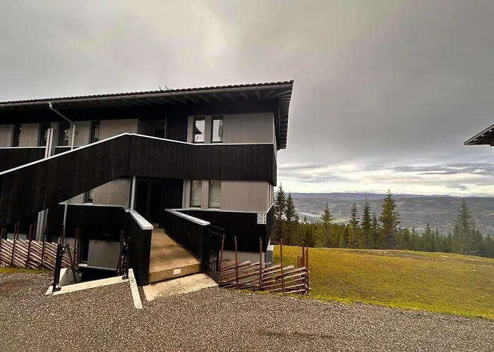 Apartment Hafjell Front 220b 8pers Inout, Downhill Bike *