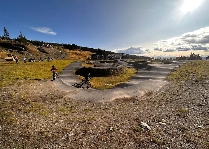 Apartment Hafjell Front 220b 8pers Inout, Downhill Bike